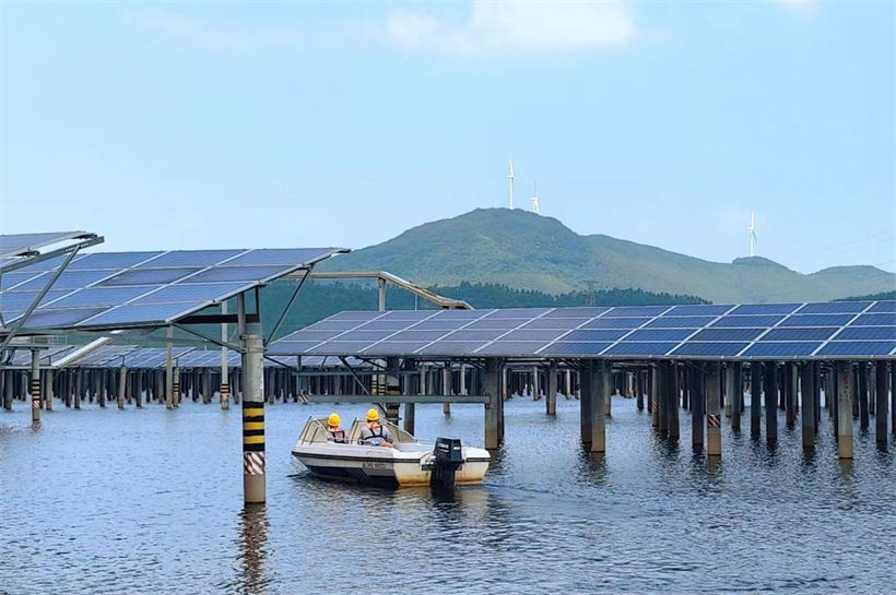 El pescado, los camarones y otros productos acuáticos se crían bajo los paneles fotovoltaicos en la central eléctrica fotovoltaica de Shuangyu. [Foto proporcionada a chinadaily.com.cn]