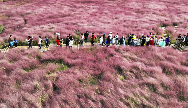 Los visitantes caminan a través de una atracción en un parque de Zaozhuang, provincia de Shandong, 8 de octubre del 2022. [Foto: Hong Xiaodong/ China Daily]