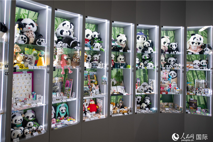 Pandas gigantes del Zoológico de Moscú atraen turistas