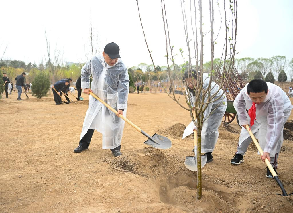 Xi planta árboles en Beijing y pide más esfuerzos de forestación para desarrollo verde y construcción de China hermosa