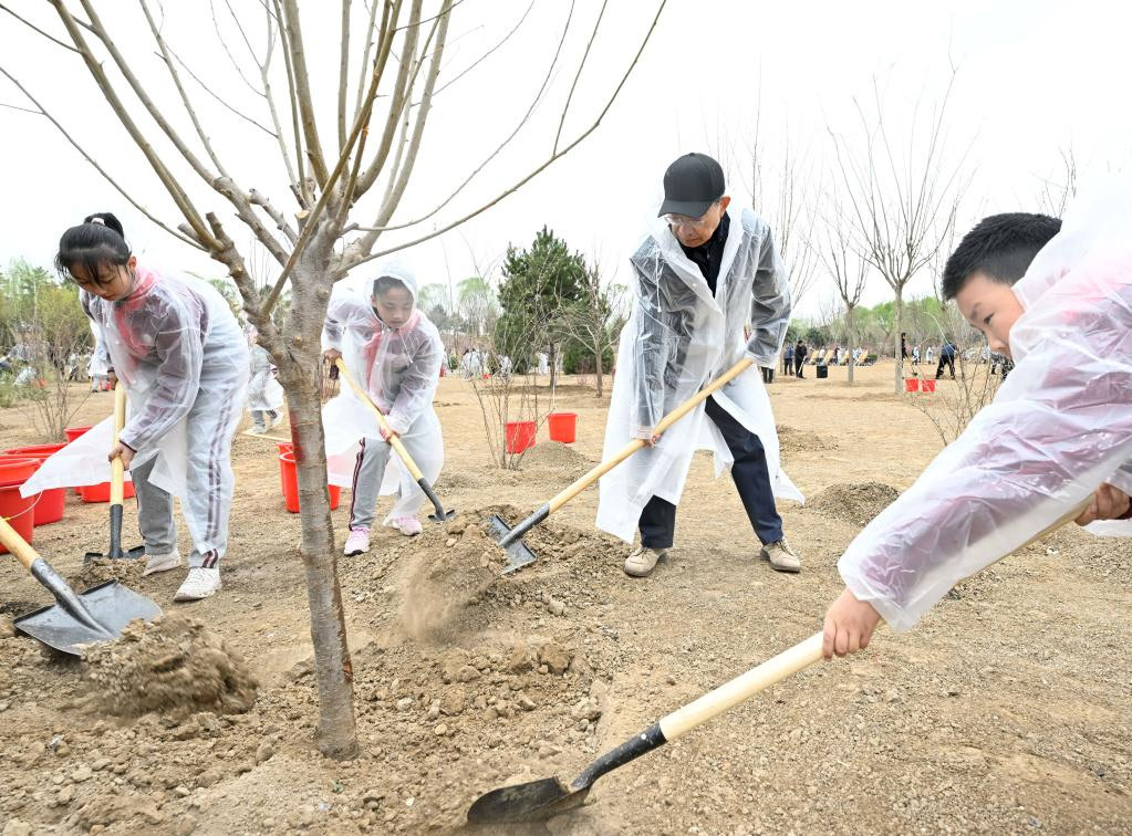 Xi planta árboles en Beijing y pide más esfuerzos de forestación para desarrollo verde y construcción de China hermosa