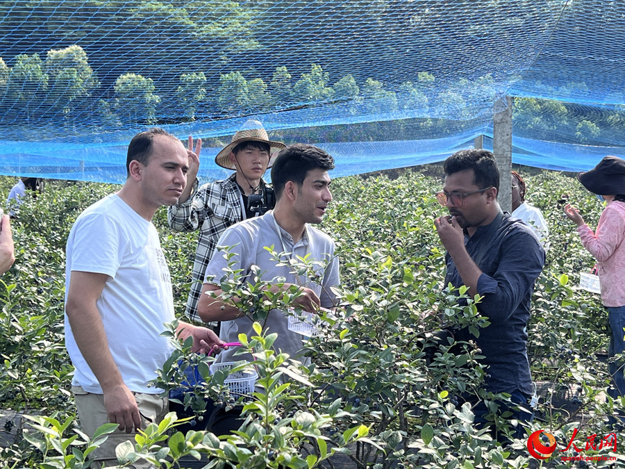 La lucha contra la pobreza da sus frutos más dulces en Xinyang