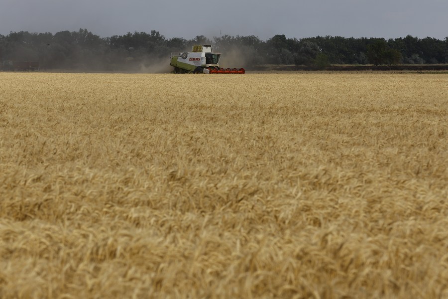 Cosecha de cereales y semillas oleaginosas de Ucrania caerá un 8,5 por ciento este año, según pronóstico gremial
