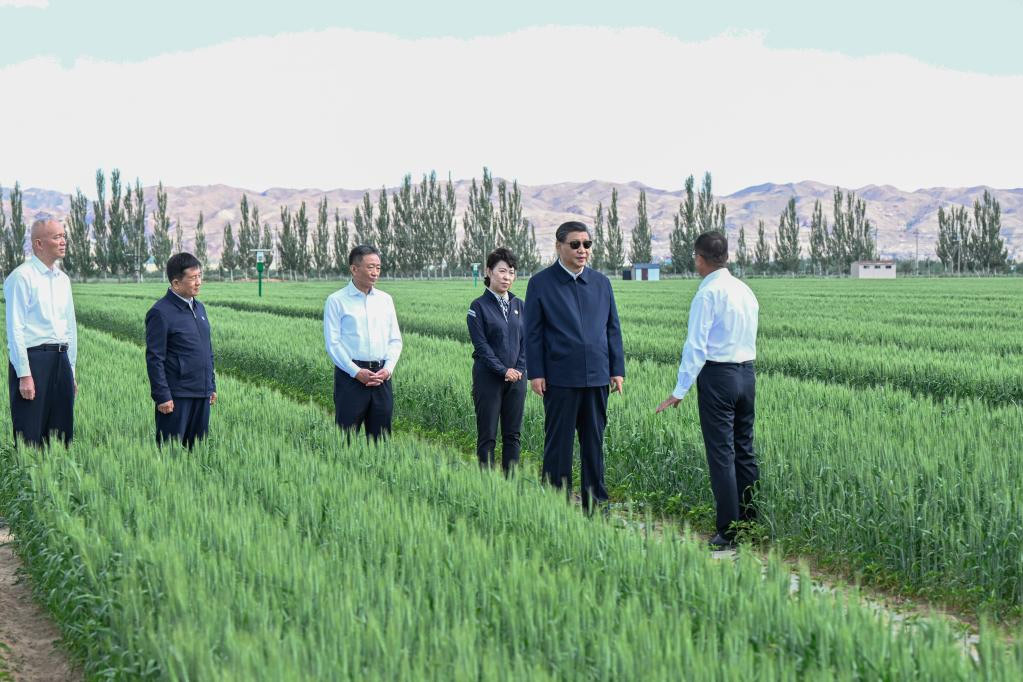 Xi pide esfuerzos sostenidos para crear nuevos milagros en lucha contra la desertificación