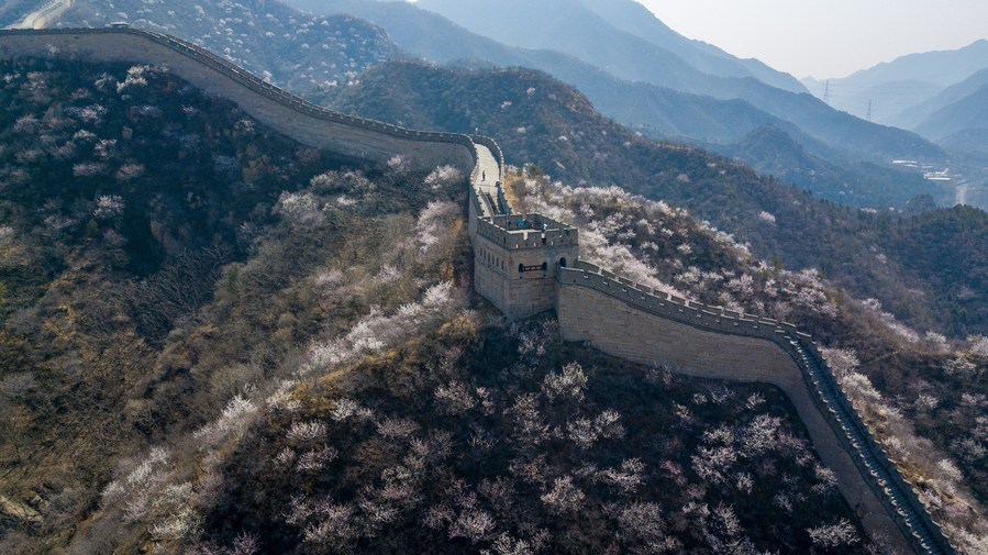 Foto aérea tomada el 28 de marzo de 2023 de la Gran Muralla Shuiguan en Beijing, capital de China. (Xinhua/Ju Huanzong)