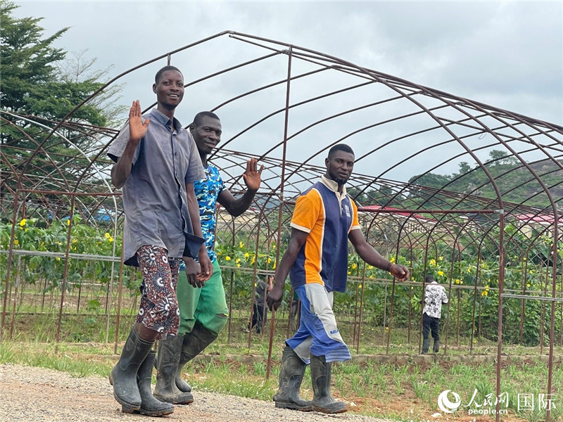 El personal local del Centro de Demostración de Tecnología Agrícola de Nigeria dijo "Hola" en chino al reportero de Diario del Pueblo digital. (Foto de Zhao Yanhong, Diario del Pueblo digital)