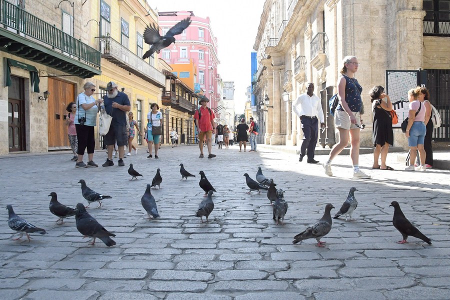 Imagen del 20 de enero de 2023 de turistas extranjeros caminando frente a una bandada de palomas en una plaza, en La Habana, capital de Cuba. Los cubanos esperan que este año más turistas chinos arriben al país y puedan ayudar a reanimar el Barrio Chino de La Habana y la economía del país caribeño. (Xinhua/Joaquín Hernández)