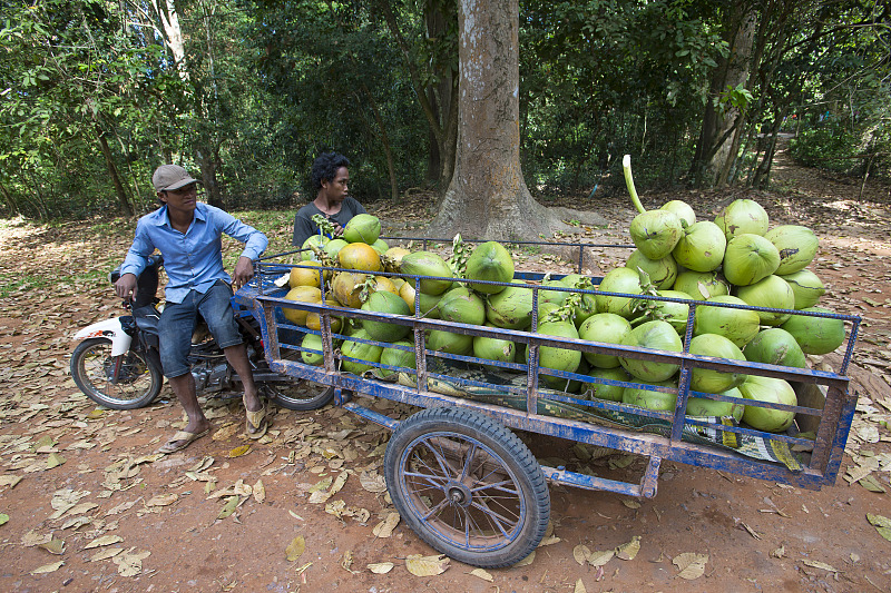 Una vista de los cocos de Camboya. (Foto de VCG)