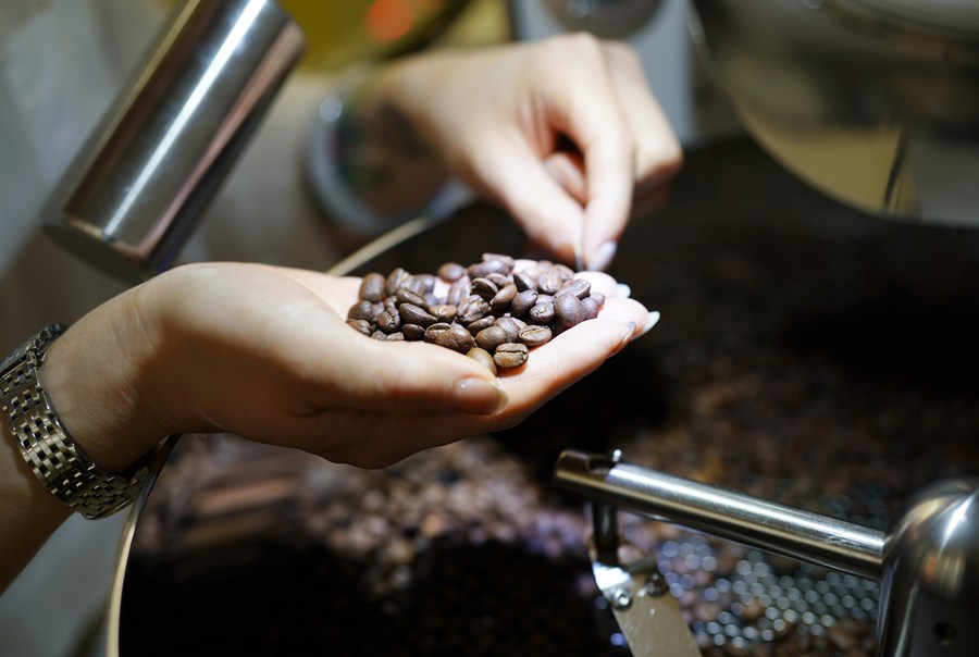 Imagen de archivo de la propietaria de una cafetería horneaando granos de café, en la provincia de Shaanxi, en el noroeste de China. (Xinhua/Shao Rui)