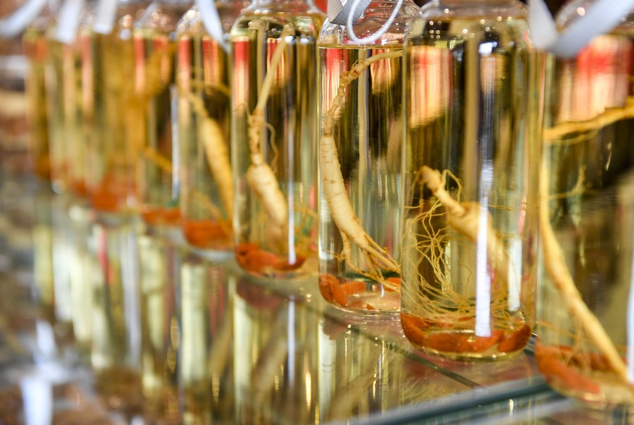 Botellas de vino de ginseng en una tienda especializada en el poblado de Wanliang, en el distrito de Fusong, en la provincia nororiental china de Jilin, el 28 de agosto de 2020.  (Xinhua/Xu Chang)