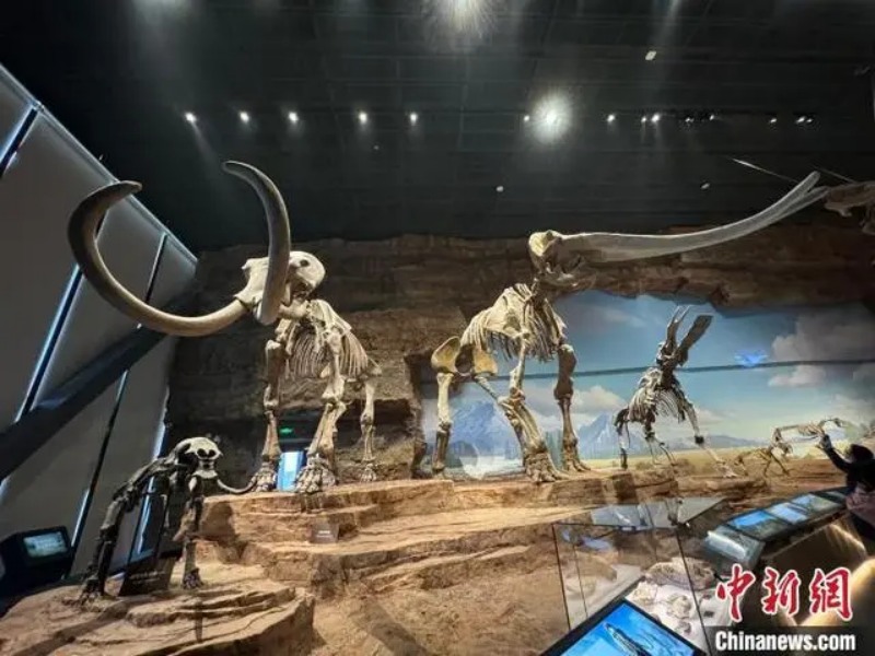 Inauguran en el norte de China uno de los museos naturales más grandes de Asia