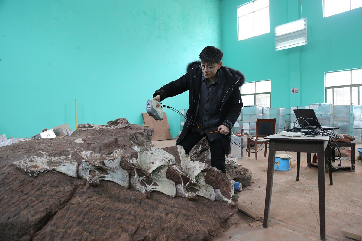 Paleontólogos chinos descubren un dinosaurio de 14 metros de largo
