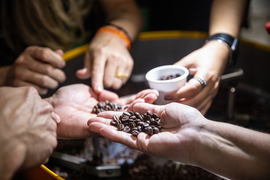 Imagen de archivo de visitantes observando granos de café tostados en la SIC (Semana Internacional del Café) 2023, en Belo Horizonte, Brasil. (Xinhua/Wang Tiancong)