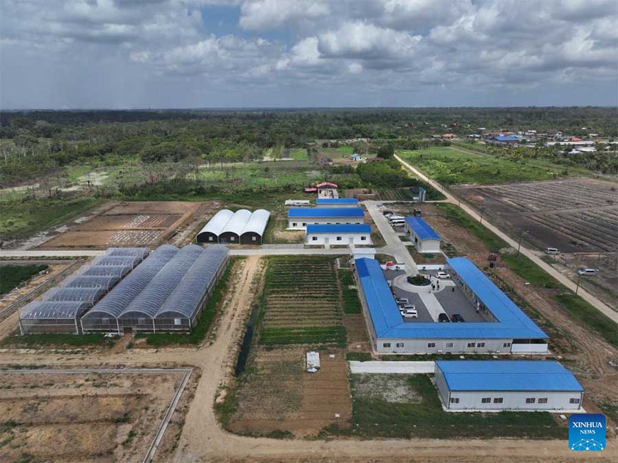 Recibe ayuda de China el Centro de Cooperación Técnica Agrícola de Surinam