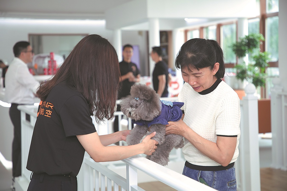 Los trabajadores cuidan a un perro en la sala de mascotas del Aeropuerto Internacional Bao'an de Shenzhen en la provincia de Guangdong. China Daily