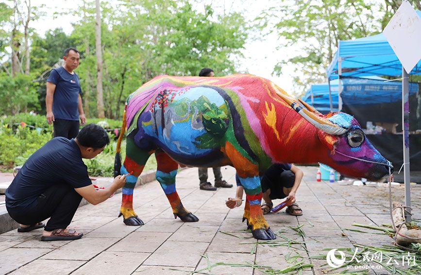 Búfalos coloridos llaman la atención en Yunnan