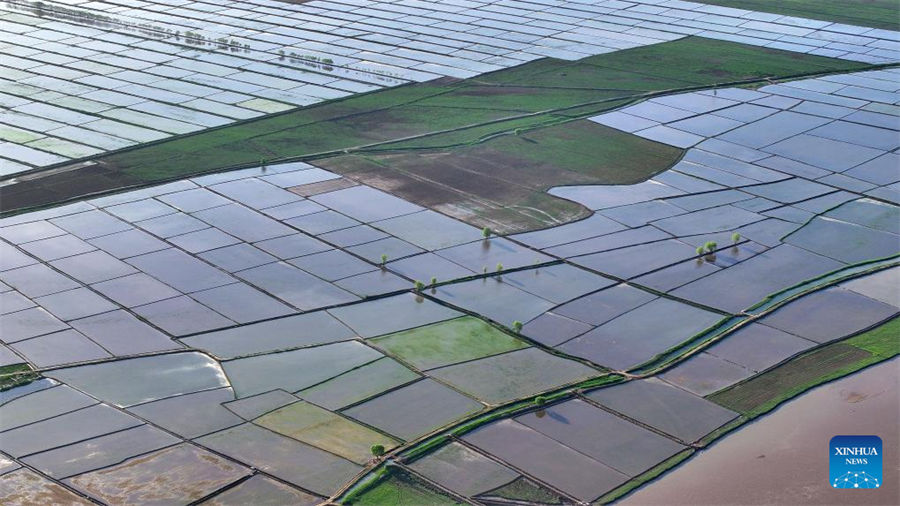 Vista aérea de los campos de arroz a lo largo del río Amarillo en Yinchuan