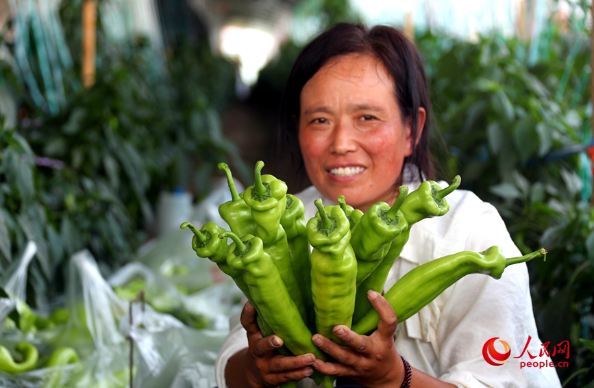 Invierte en Henan | La industria hortofrutícola abre un “paraguas generador de riqueza” a gente