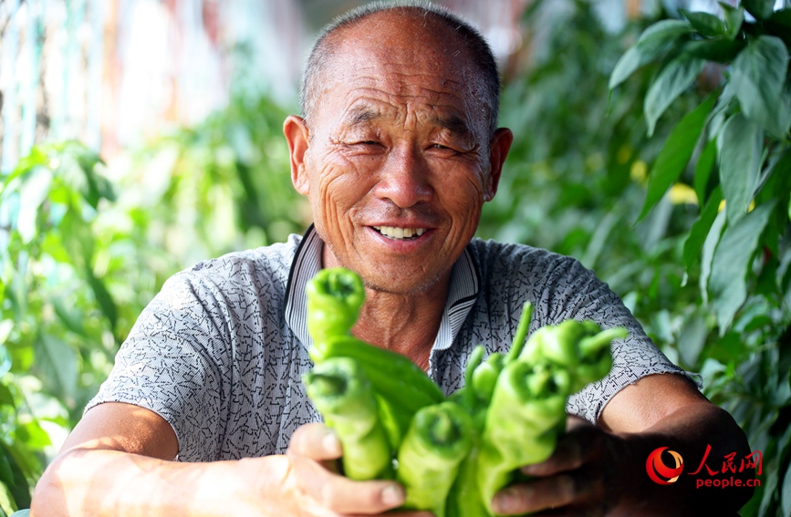 Invierte en Henan | La industria hortofrutícola abre un “paraguas generador de riqueza” a gente