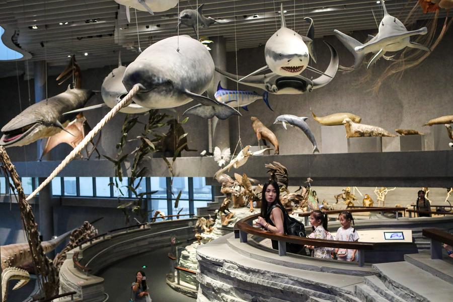 Turistas visitan el Museo de Historia Natural de Shanghai, en Shanghai, en el este de China, el 20 de septiembre de 2023. (Xinhua/Xin Mengchen) 