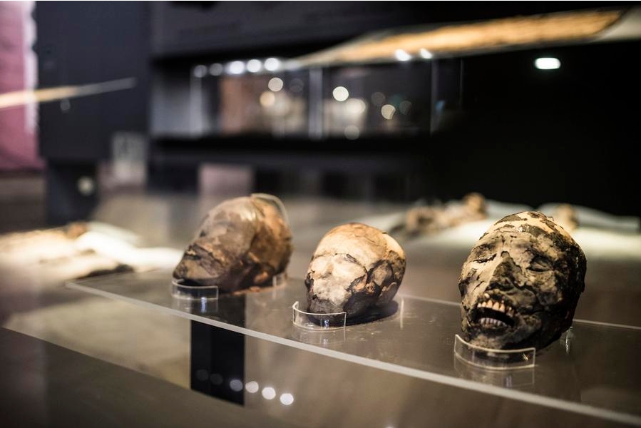 Imagen de archivo sin fechar cedida por Imagen de Chile de cabezas momificadas de la cultura chinchorro en un museo, en la ciudad de Arica, Chile. (Xinhua/Imagen de Chile-Felipe Cantillana) 