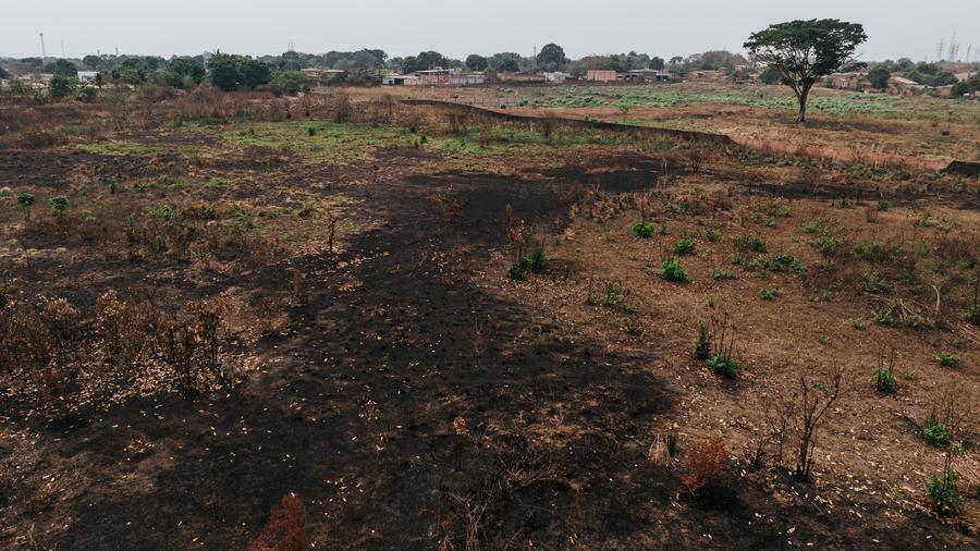 Brasil anuncia 12 millones de dólares para salud de indígenas afectados por sequía e incendios forestales