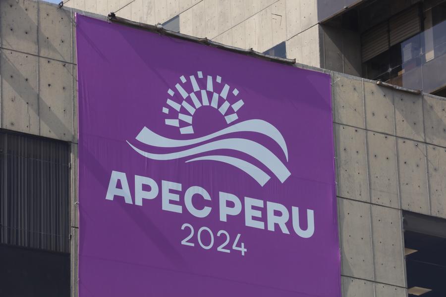 Miembros de APEC piden cooperación multilateral efectiva