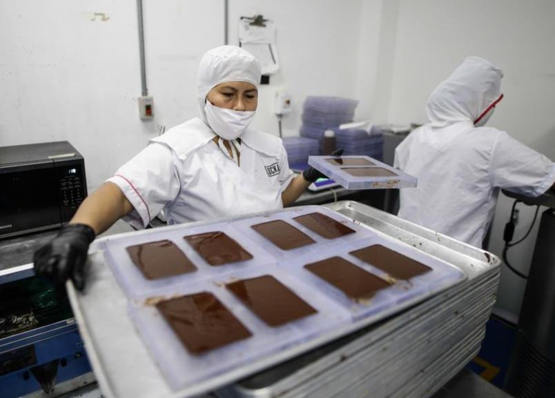 Cultivadores de cacao de Colombia ven en mercado con China importante potencial de crecimiento