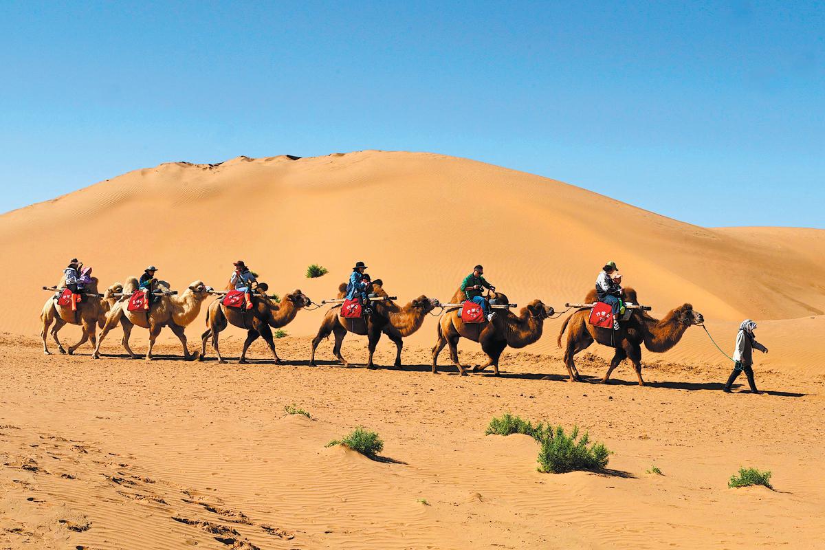 Turistas montan camellos en el área escénica de Shapotou en Zhongwei, Región Autónoma de Ningxia Hui, 1º de octubre. (Foto: Mao Zhu/ Xinhua)