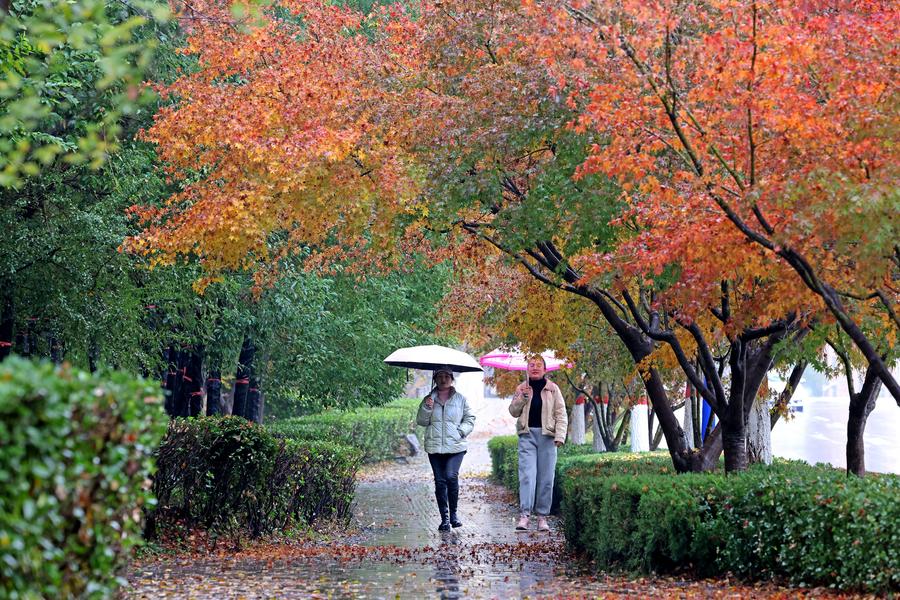 Peatones caminan por una calle en Zaozhuang, provincia de Shandong, en el este de China, el 25 de noviembre de 2024. (Xinhua/Zhongzhe)