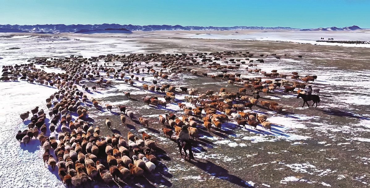 Un oficial de la policía que ayudó a un pastor a encontrar un cordero recién nacido, perdido en la Prefectura Autónoma Mongola de Bortala, Región Autónoma Uygur de Xinjiang, acaricia al animal rescatado. [Foto: proporcionada]