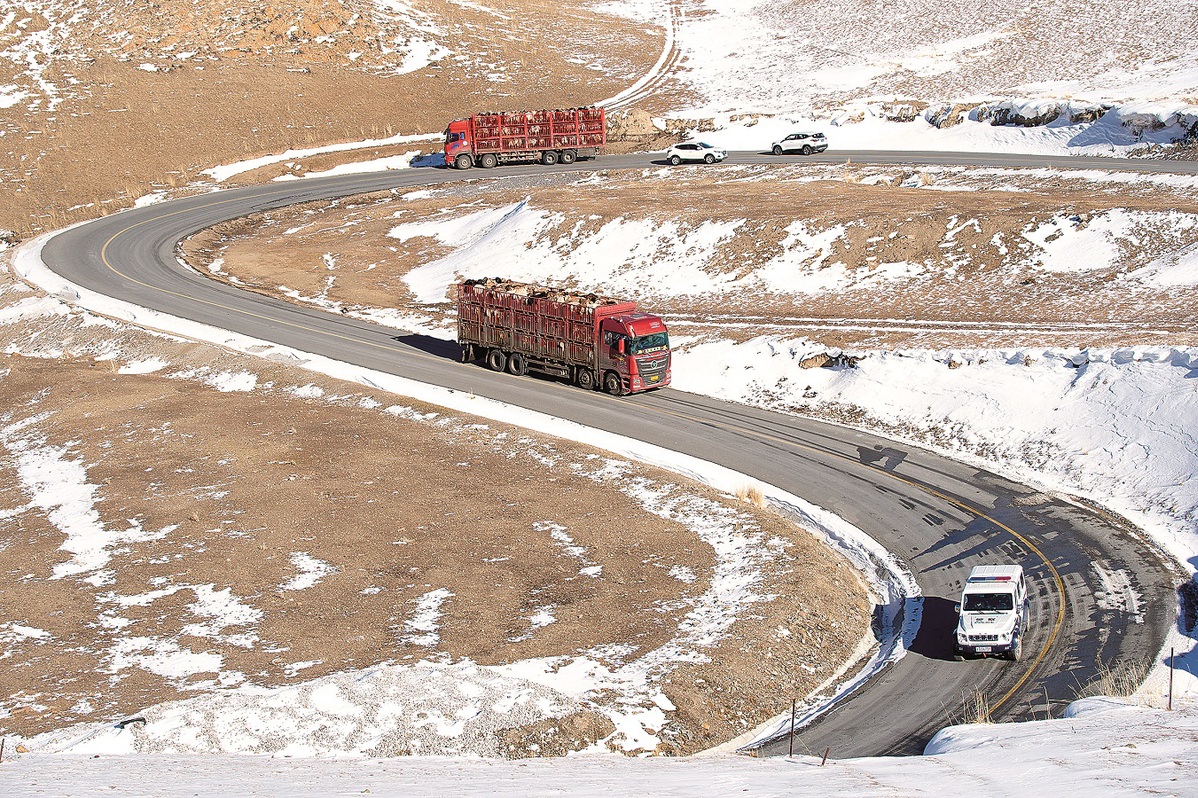 Un coche de policía guía un convoy de camiones de ganado por una carretera sinuosa de Xinjiang. [Foto: proporcionada a China Daily]