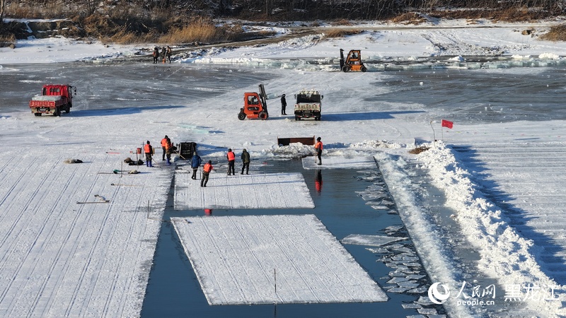 Cosecha para el Mundo de Hielo y Nieve de Harbin. (Foto: Diario del Pueblo digital/ Zhang Zhexin y Xu Chenglong)