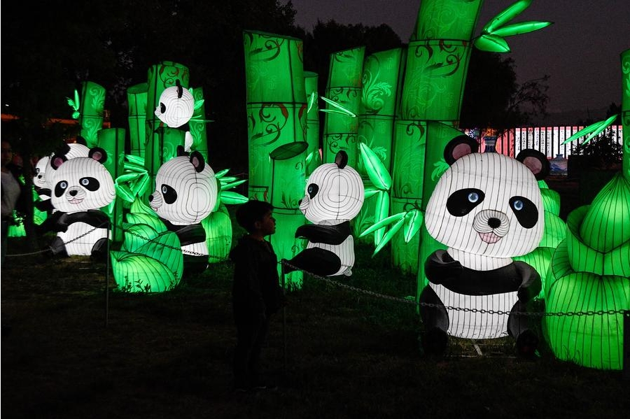 Imagen del 14 de diciembre de 2024 de un niño observando una escultura iluminada durante la feria de luces tradicionales chinas Tianfu Festival en el parque Orione, en Santiago, capital de Chile. (Xinhua/Jorge Villegas) 