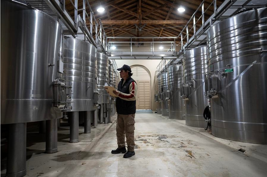 Imagen del 7 de octubre de 2024 de un trabajador de la bodega argentina Casarena Bodegas y Viñedos controlando los tanques en la sala de tanques de la bodega, en la ciudad de Luján de Cuyo, en la provincia de Mendoza, Argentina. (Xinhua/Martín Zabala)