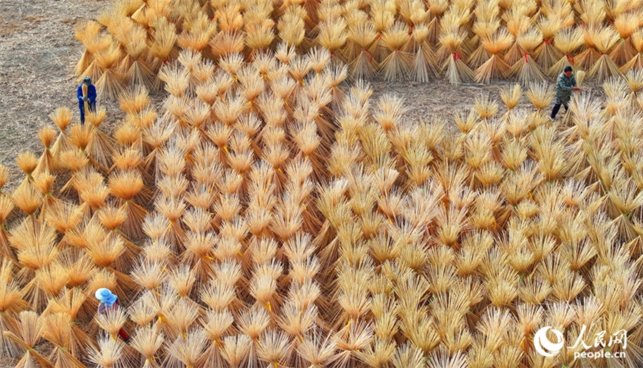 Esta foto muestra a los agricultores de bambú secando seda de bambú en una empresa de fabricación de productos de bambú en la aldea de Fuxi, municipio de Tanshan, condado Yifeng, provincia oriental china de Jiangxi. (Diario del Pueblo digital/Zhu Haipeng)