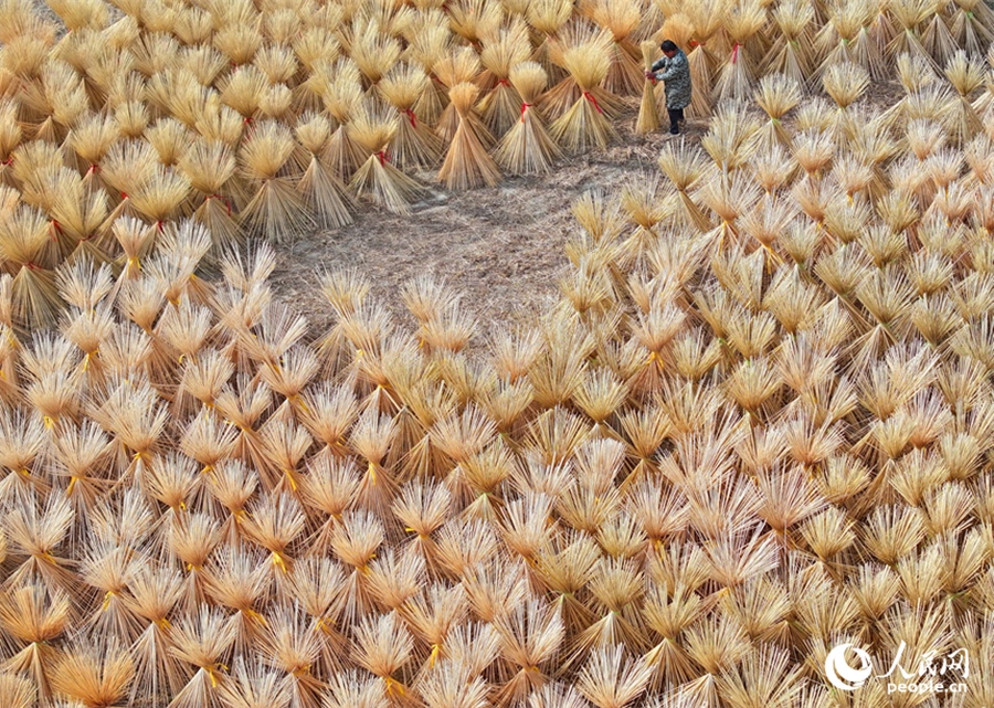 Esta fotografía muestra a agricultores de bambú secando seda de bambú en una empresa de fabricación de productos de bambú en la aldea de Fuxi, municipio de Tanshan, condado Yifeng, provincia de Jiangxi, este de China. (Diario del Pueblo en Línea/Zhu Haipeng)