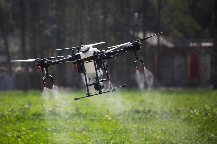 Un dron agrícola rocía pesticidas en un campo en la aldea de Hongqiao de la ciudad de Chongzhou, ubicada en la provincia de Sichuan, en el suroeste de China, el 25 de febrero de 2020. (Xinhua/Li Mengxin)