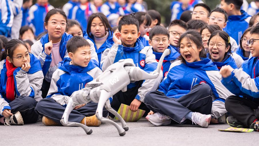 Potencia de computación inteligente de China mantendrá rápido crecimiento, según reporte