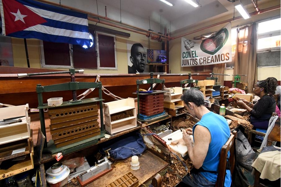 Tabaqueros trabajan en la elaboración de puros habanos en la fábrica La Corona, en La Habana, capital de Cuba, el 27 de febrero de 2025. (Xinhua/Joaquín Hernández)