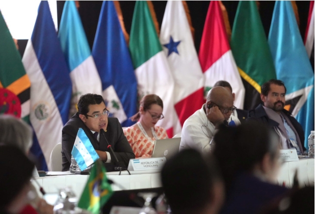El vicecanciller de Política Exterior de Honduras, Gerardo Torres (i-atrás), habla durante la Reunión Ordinaria de Coordinadores Nacionales previo a la IX Cumbre de la Comunidad de Estados Latinoamericanos y Caribeños (CELAC), en Tegucigalpa, capital de Honduras, el 7 de abril de 2025. (Xinhua/David del Paz)