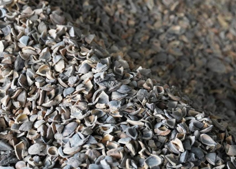 China convierte cáscaras de frutas en alternativa ecológica para producir carbón activado