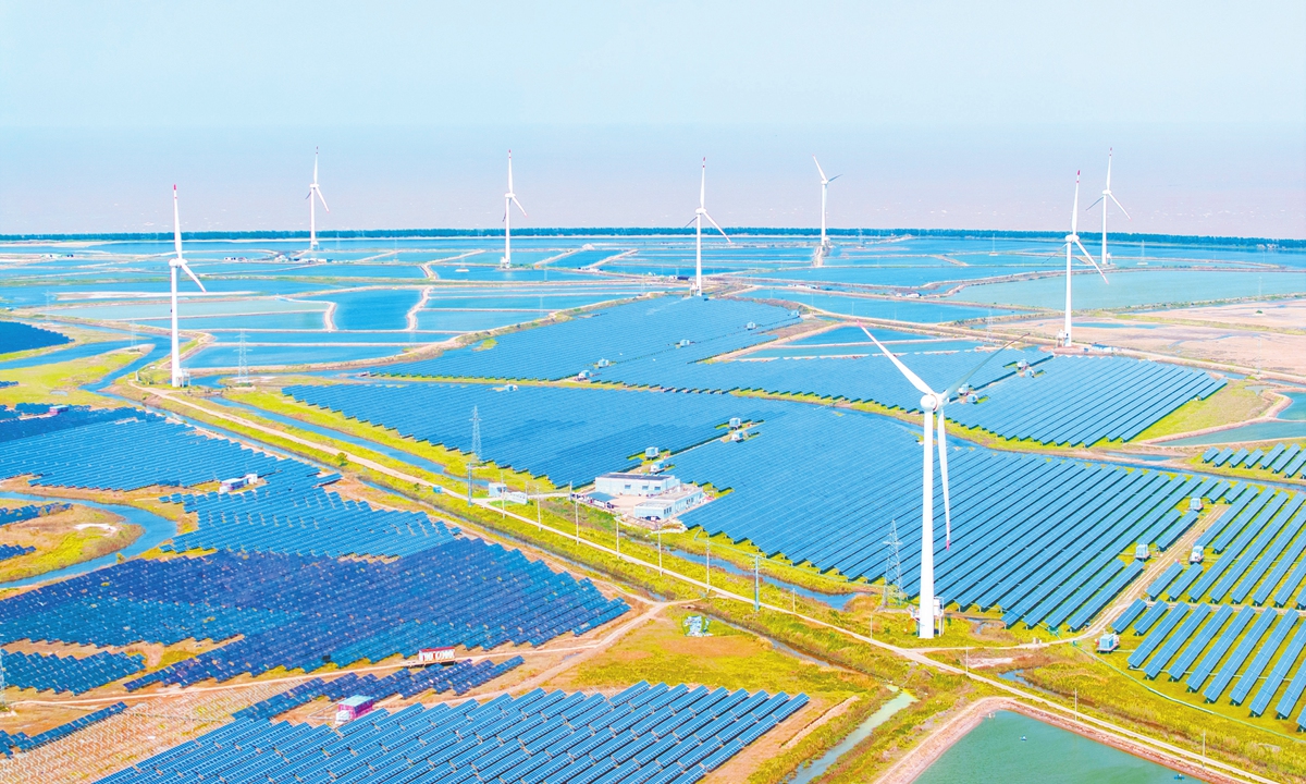 Los países BRICS son un actor central en la transición energética global