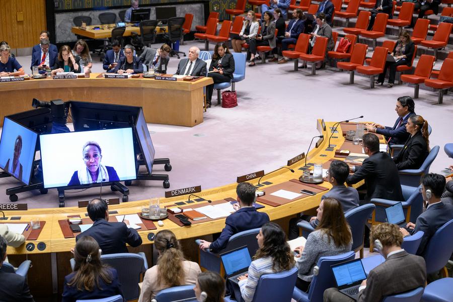 Catorce miembros del Consejo de Seguridad de la ONU piden alto el fuego en Gaza