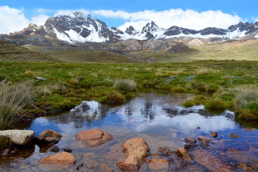 Tecnología y responsabilidad construyen una barrera para la protección ecológica de los Andes en Perú