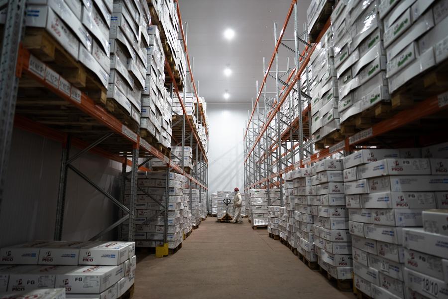 Imagen del 23 de octubre de 2025 de un trabajador del Frigorífico General Pico trasladando cajas con piezas de carne vacuna en el sector de depósito de la planta frigorífica, en la localidad de Trenel, en la provincia de La Pampa, Argentina. (Xinhua/Martín Zabala)