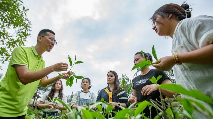 Raíces culturales impulsan economías distritales distintivas en China, según informe