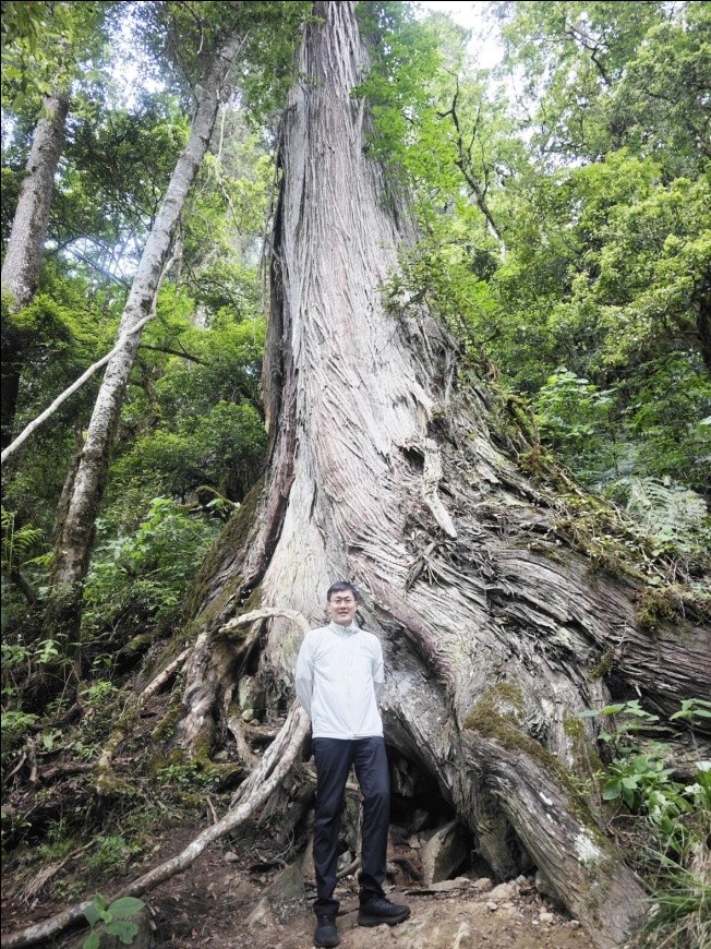 Guo Qinghua posa para una foto con el árbol más alto de Asia. (Foto cortesía de Guo Qinghua)