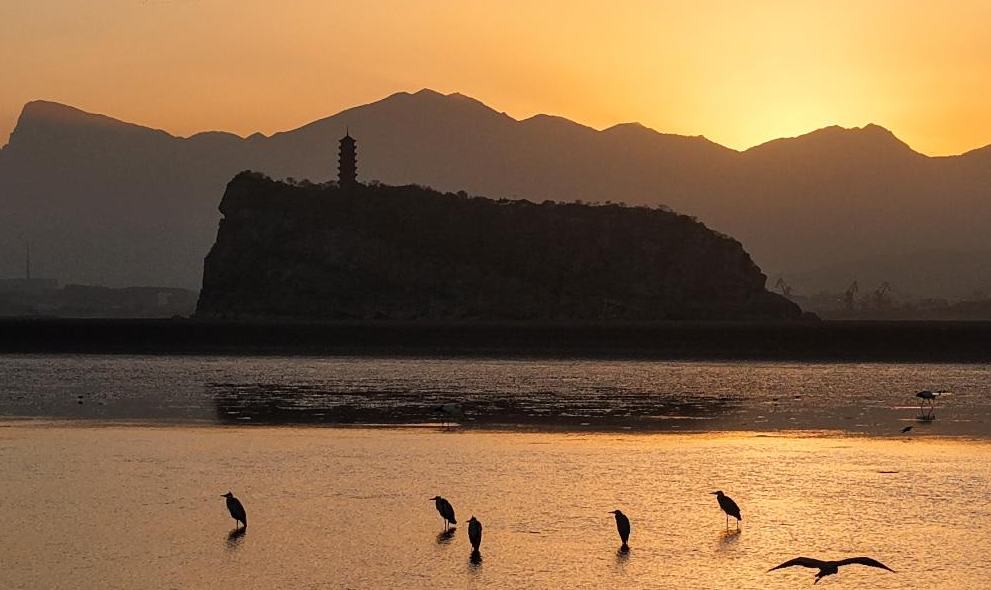 Lago Poyang recibe a miles de aves migratorias