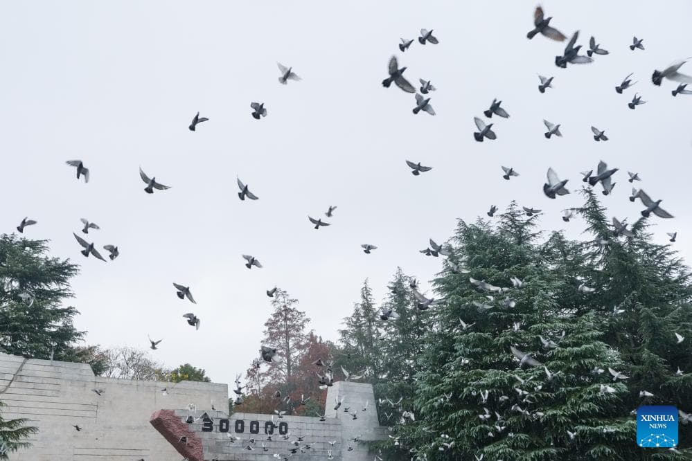 China celebra homenaje nacional a víctimas de Masacre de Nanjing y hace un llamado a la memoria histórica